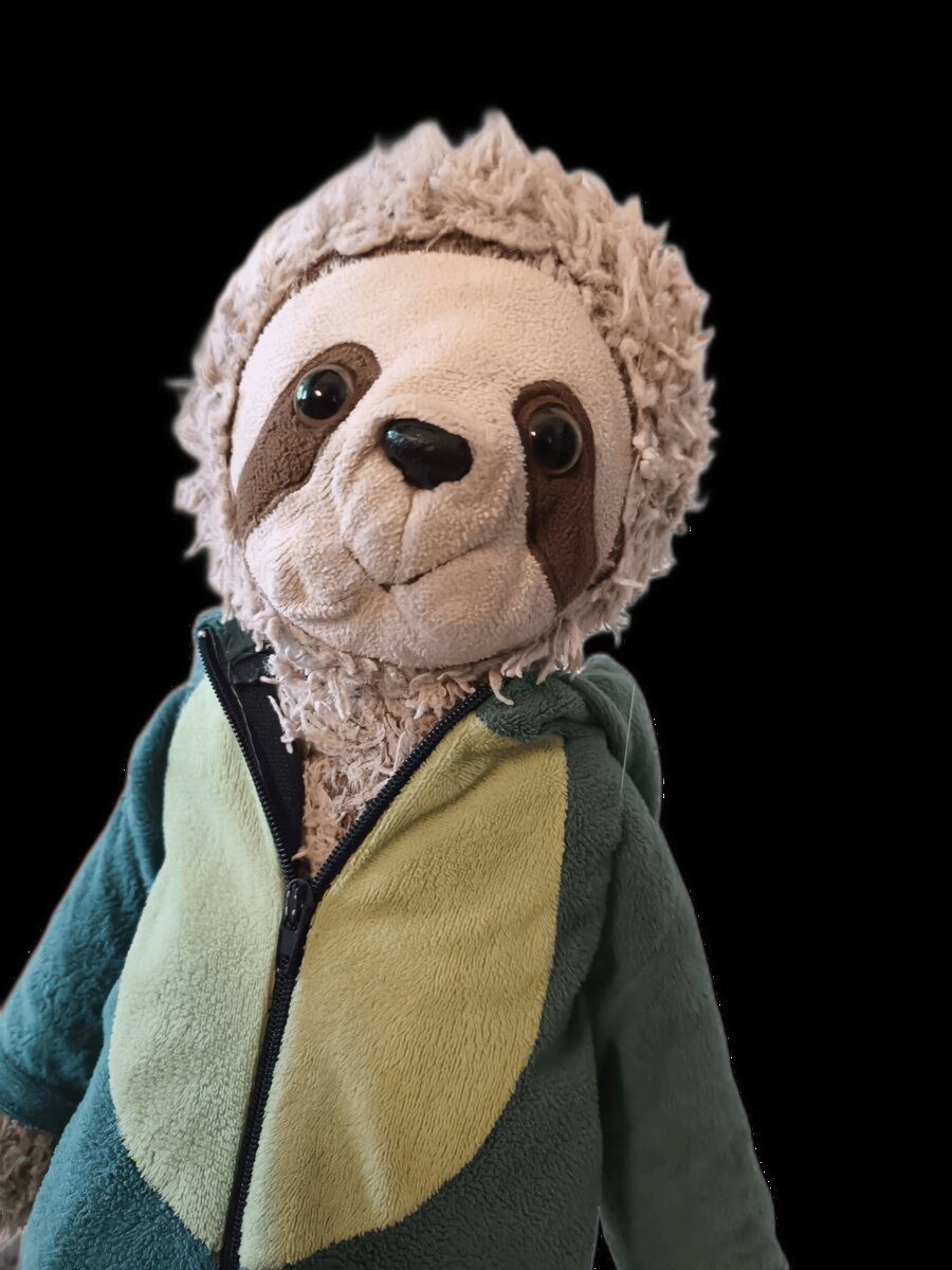 Corn the Sloth portrait